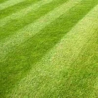 General Purpose Grass Seed 10kg