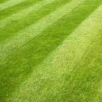 General Purpose Grass Seed 20kg