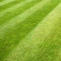 General Purpose Grass Seed 5kg