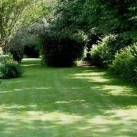 Shady Places Grass Seed 5kg